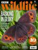 BBC Wildlife